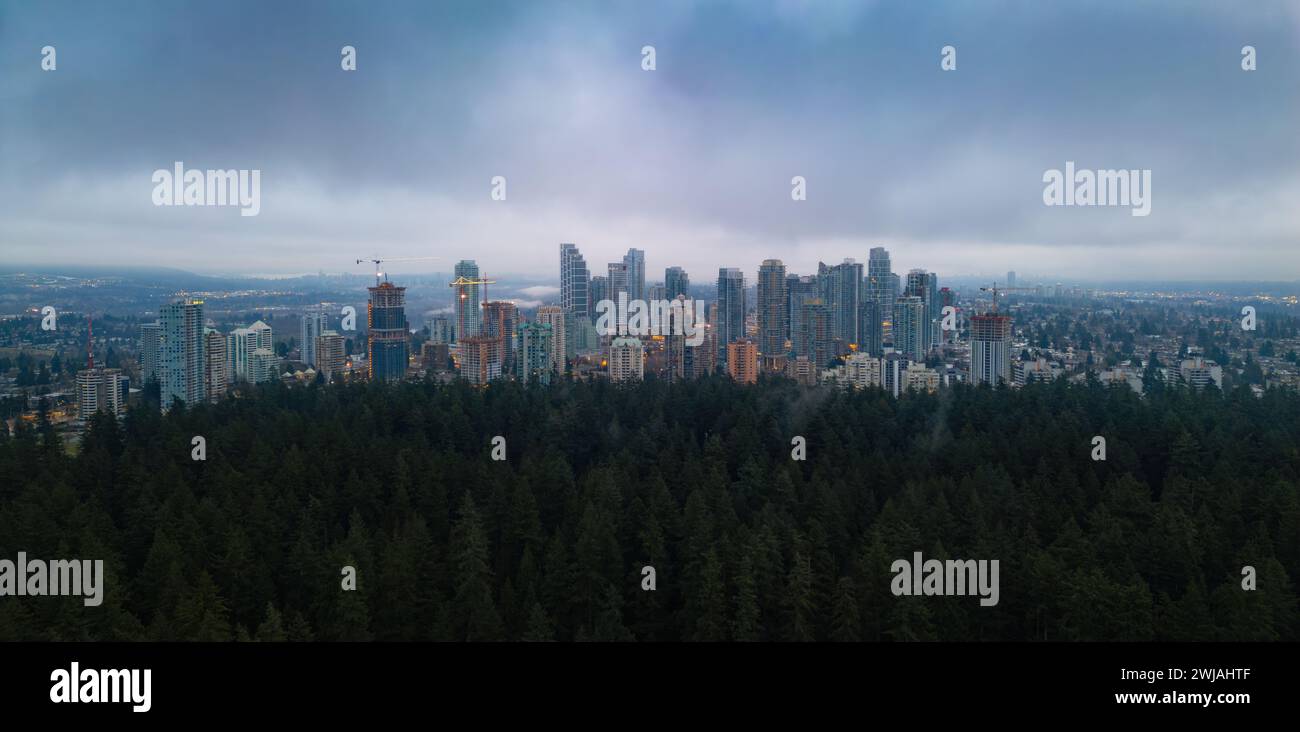 Aerial view of urban skyline framed by lush foliage. Burnaby, Vancouver, BC, Canada. Stock Photo
