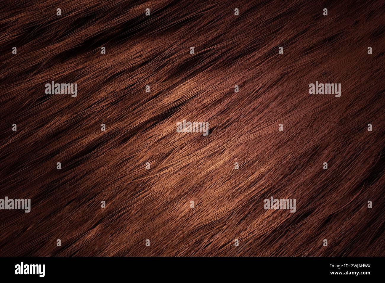 close-up chestnut female hair texture Stock Photo
