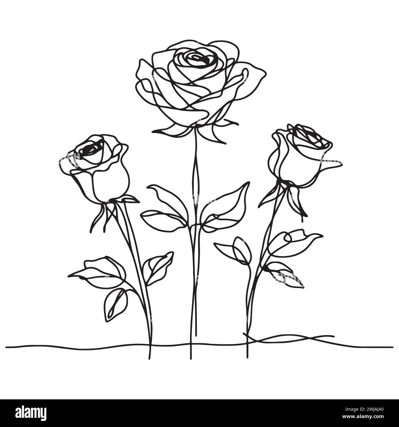 A minimalist yet sophisticated depiction featuring three roses in a linear sketch design. The floral arrangement is rendered in monochrome palette. Stock Vector