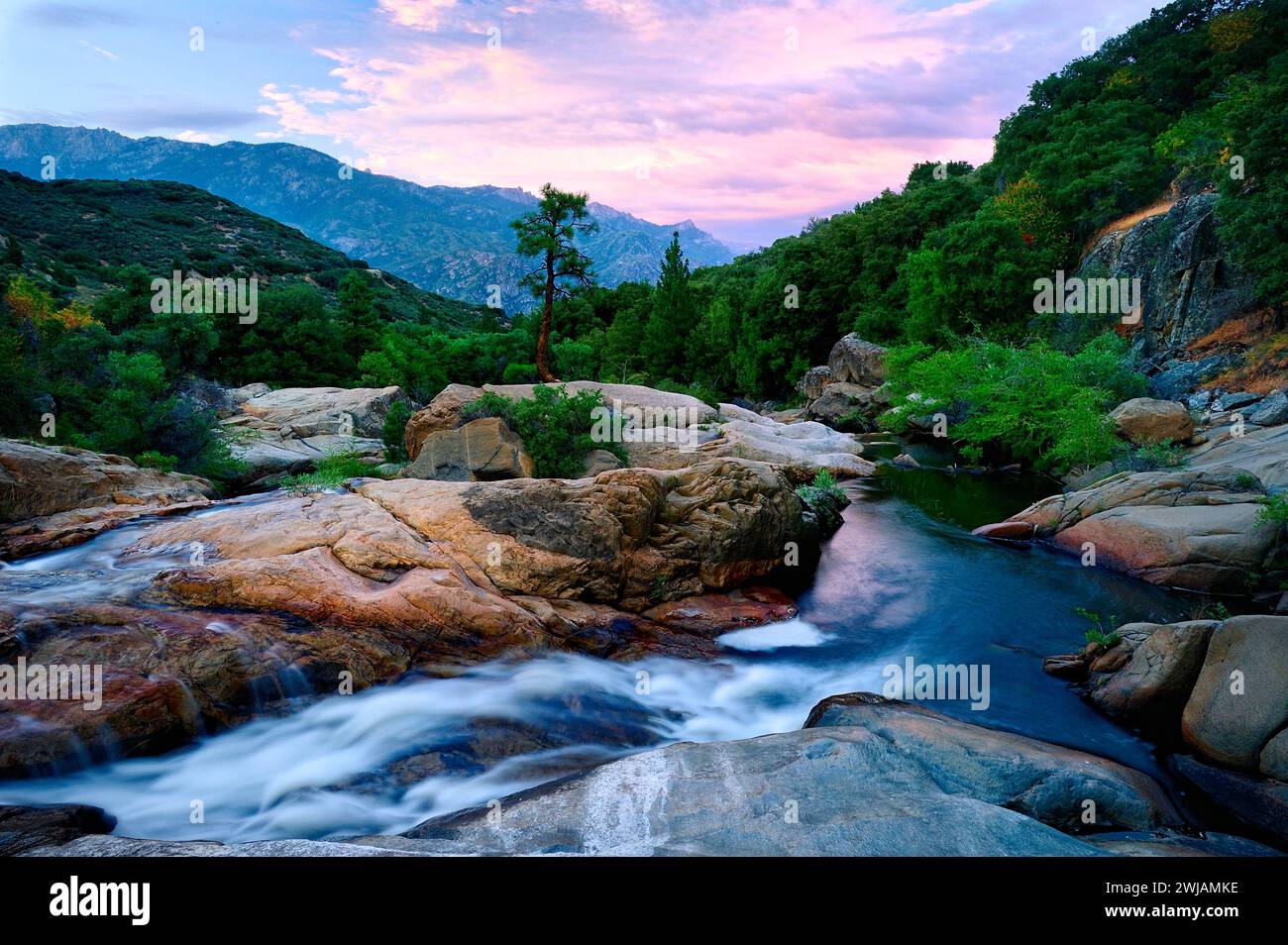 A colorful sunset above a mountain stream with rocks, trees, and vegetation Kings Canyon, California. Stock Photo