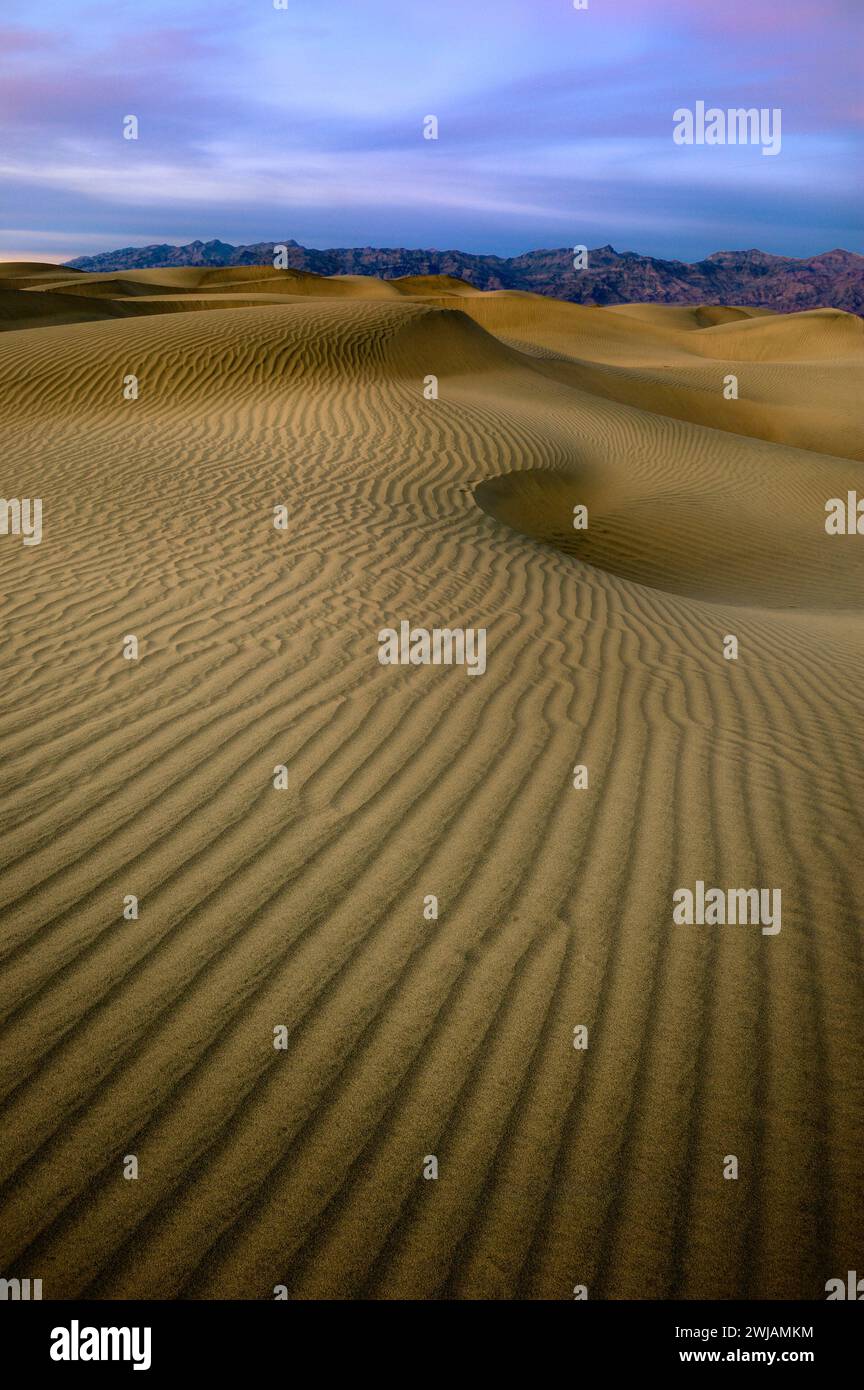 A sunrise over sand dunes with purple sky and mountains in the backdrop. Stock Photo