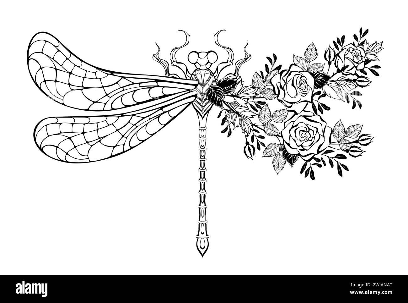Contour, stylized, asymmetrical dragonfly, decorated with blooming roses and pistachio branches on white background. Coloring. Stock Vector