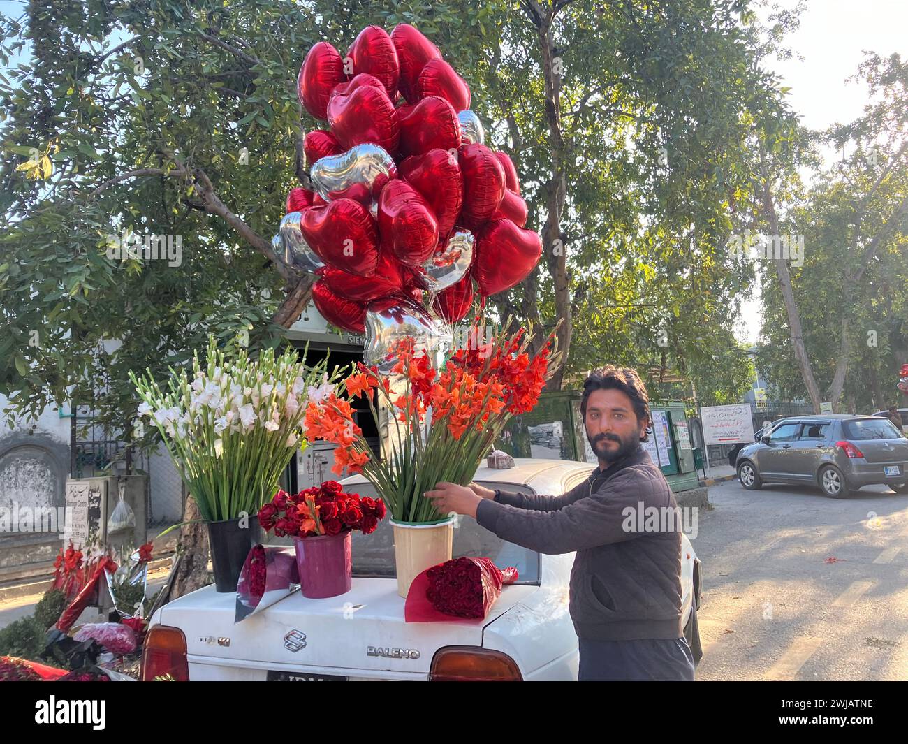 Islamabad, Pakistan. 14th Feb, 2024. Trader Kashif Raza is once again selling roses and colorful balloons for Valentine's Day this year. In predominantly Muslim Pakistan, this tradition, which is actually Western, is also very popular, especially among young couples. Credit: Nabila Lalee/dpa/Alamy Live News Stock Photo