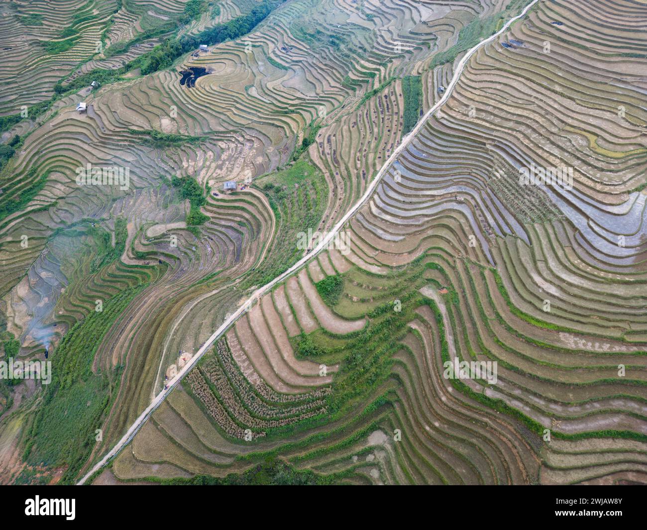 An aerial view of numerous rice terraces in Mu Cang Chai District ...