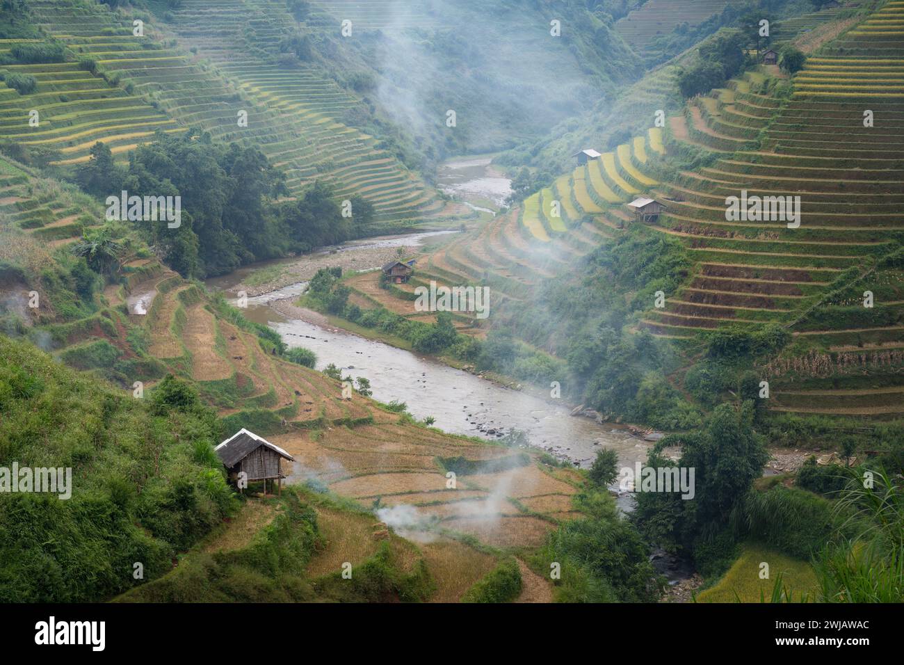 An aerial view of numerous rice terraces in Mu Cang Chai District ...