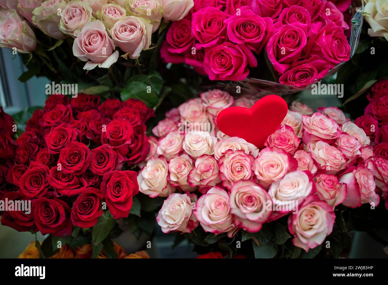 Roses are displayed at a flower shop on Valentine's Day in Vilnius
