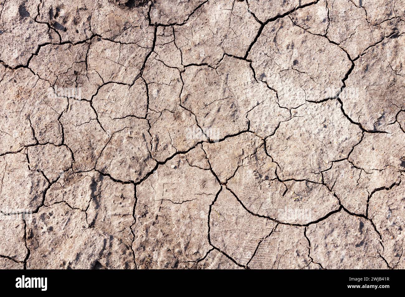 Dry ground with cracks. Global warming concept. Stock Photo