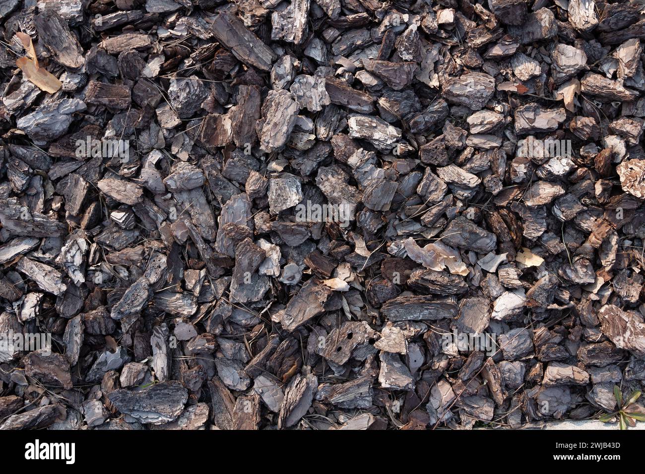 Small pieces of tree bark. Crushed tree bark texture background. Brown tree bark for decoration or for playground. Close-up. Ecology and bioenergy con Stock Photo