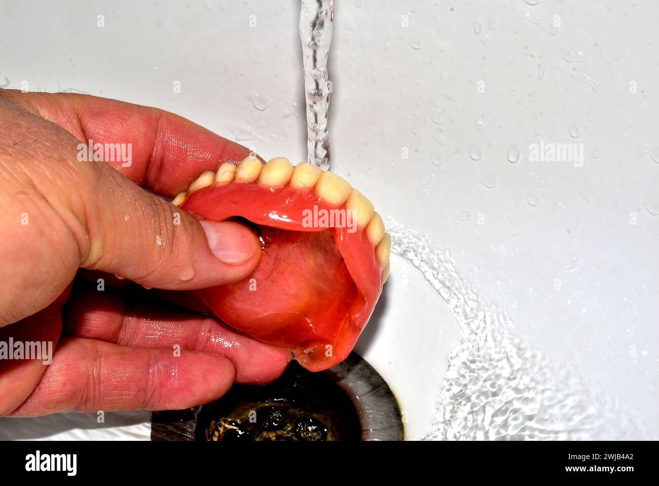 Close-up of the upper jaw being washed under the tap. Stock Photo