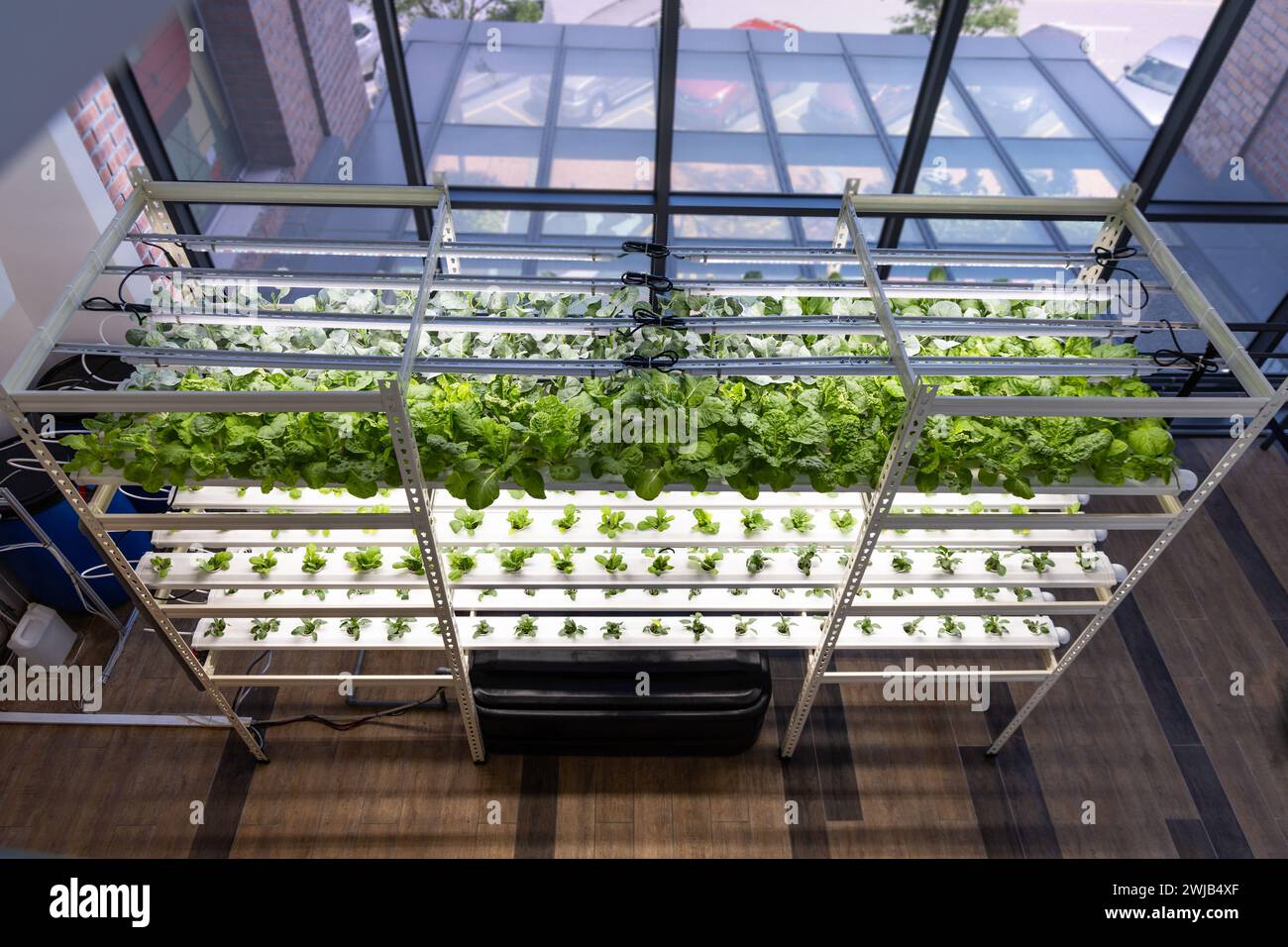 Vertical multilevel indoor hydroponic vegetable farming with led lighting in controlled