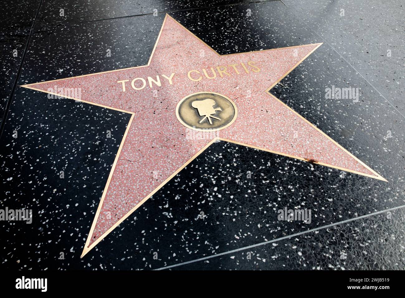 Tony Curtis's star on the Hollywood Walk of Fame, California, USA Stock Photo