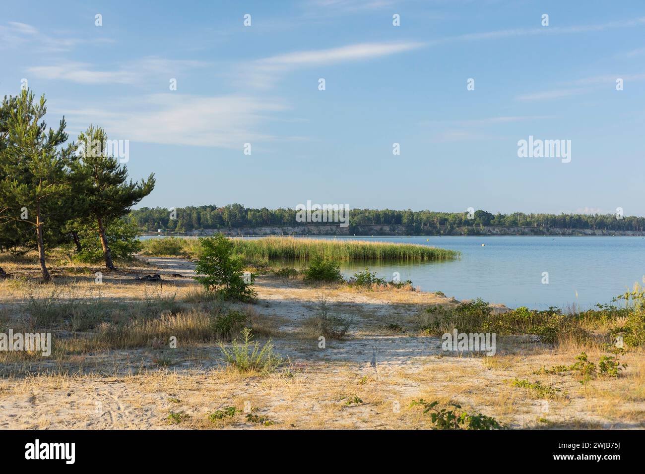 Teich strand hires stock photography and images Alamy