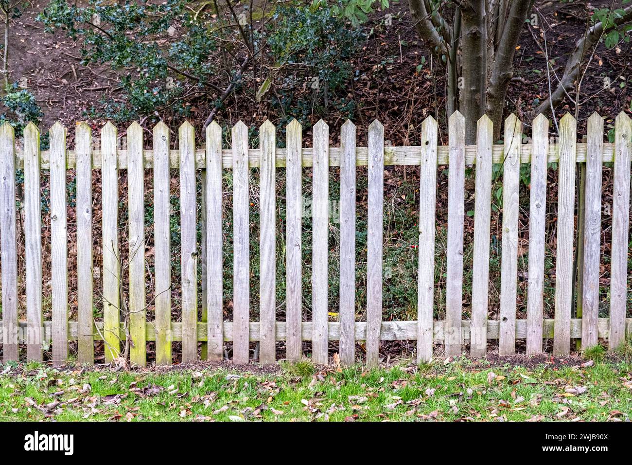 Broken pattern on wooden picket fence Stock Photo