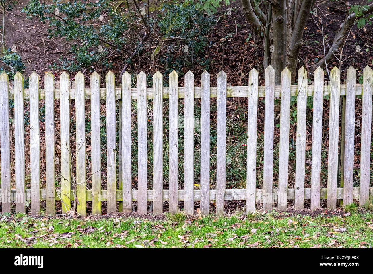 Wooden picket fence hi-res stock photography and images - Alamy