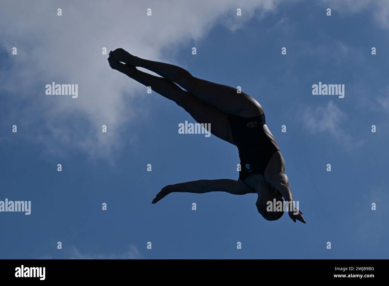 Doha, Qatar. 14th Feb, 2024. Molly Carlson of Canada competes during the women's 20m final of high diving event at the World Aquatics Championships 2024 in Doha, Qatar, Feb. 14, 2024. Credit: Du Yu/Xinhua/Alamy Live News Stock Photo