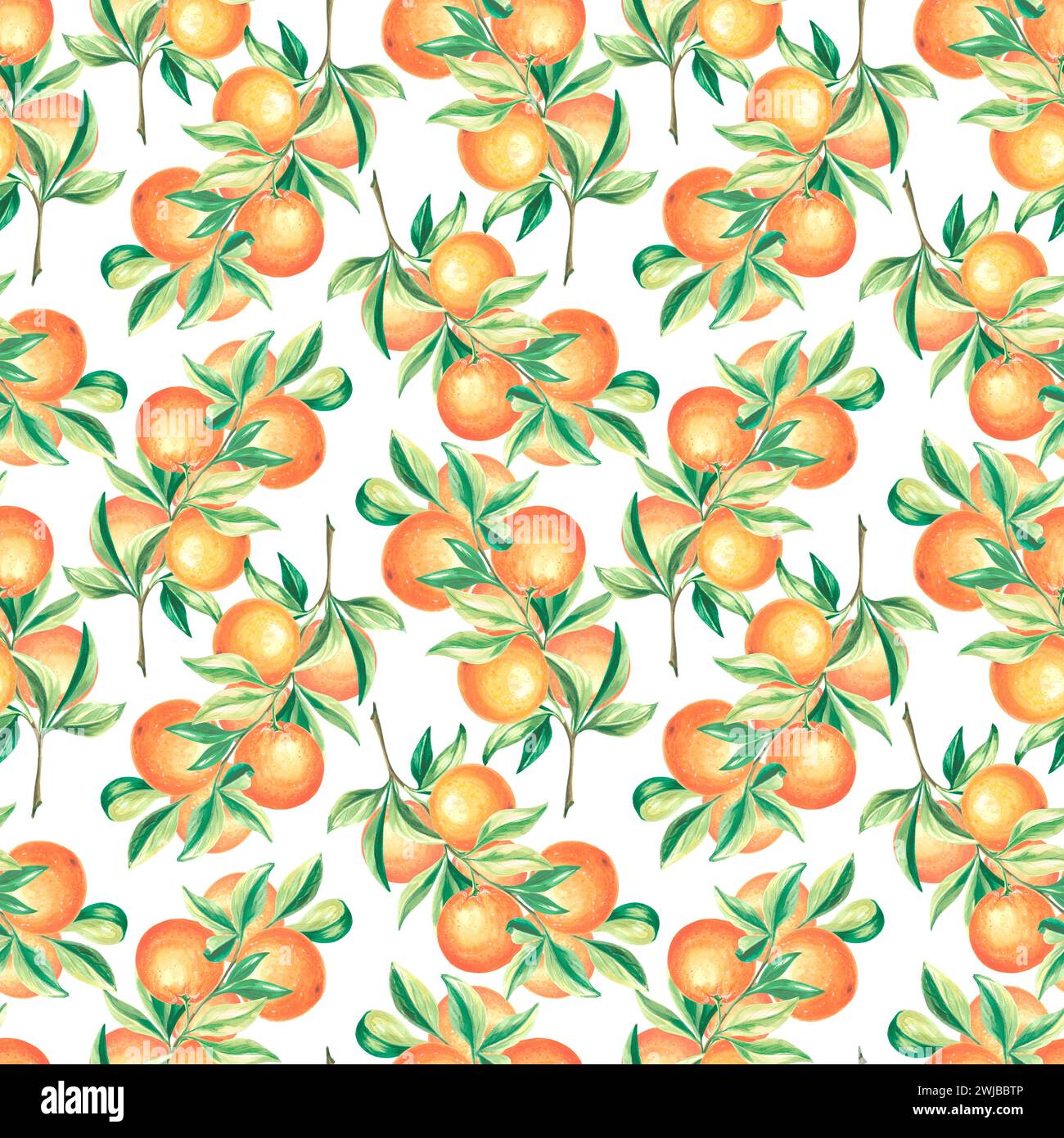 Seamless pattern with oranges fruit and leaves. Watercolor hand drawn ...