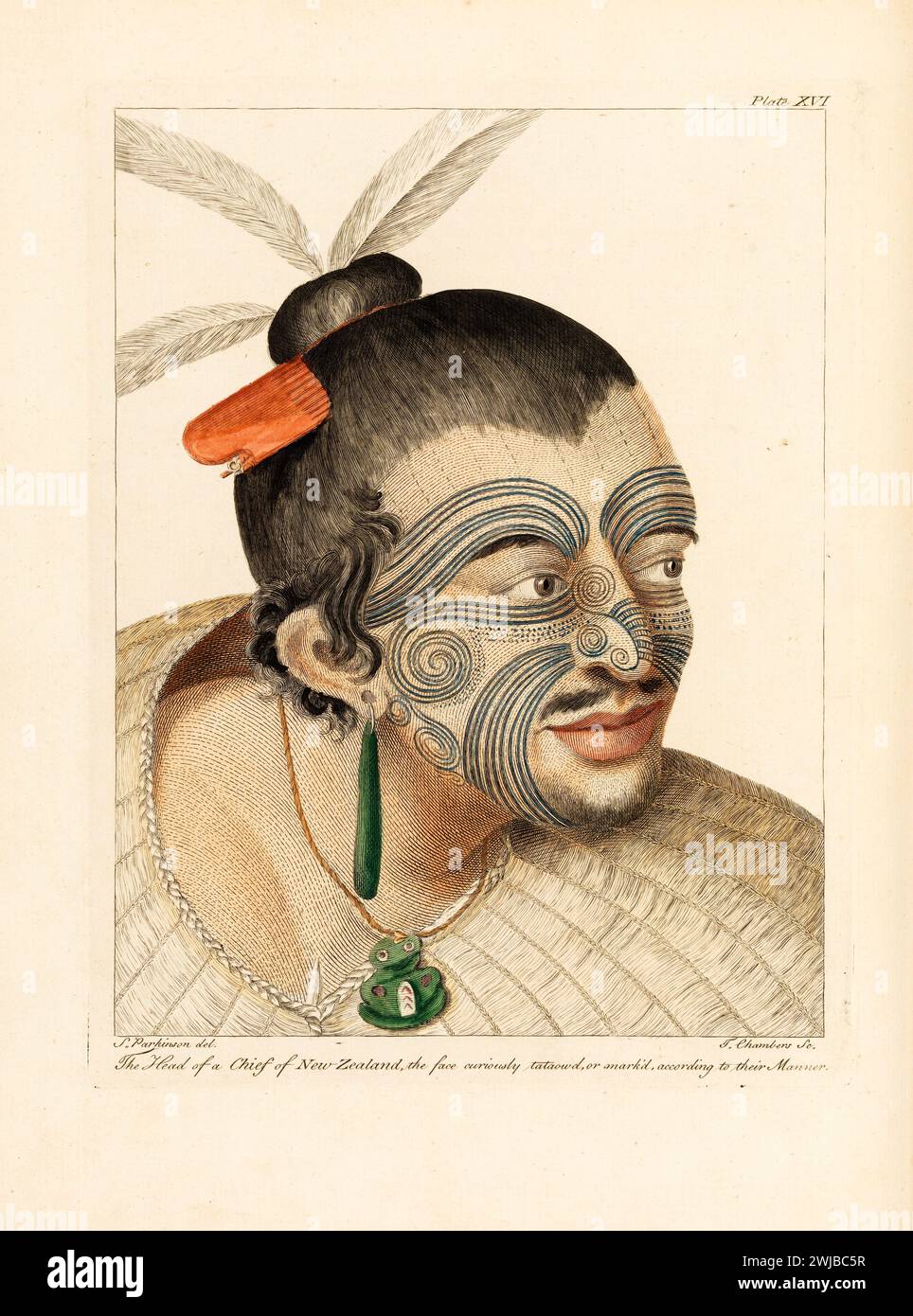 'The head of a chief of New Zealand, the face curiously tataowd, or mark'd, according to their manner' . Engraving From “A journal of a voyage to the South Seas : in His Majesty's ship, the Endeavour” from the papers of Sydney Parkinson, embellished with views and designs, delineated by the Author, and engraved by capital artists.  1773 Stock Photo