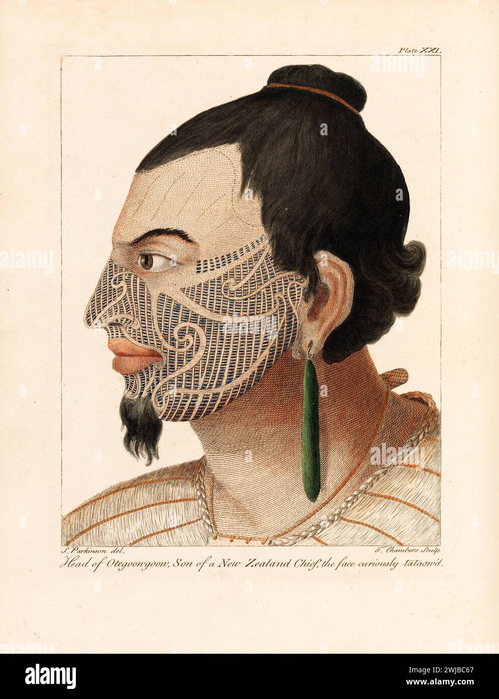 'Head of Otegoongoon, son of a New Zealand chief, the face curiously tataow'd'. Engraving From “A journal of a voyage to the South Seas : in His Majesty's ship, the Endeavour” from the papers of Sydney Parkinson, embellished with views and designs, delineated by the Author, and engraved by capital artists.  1773 Stock Photo