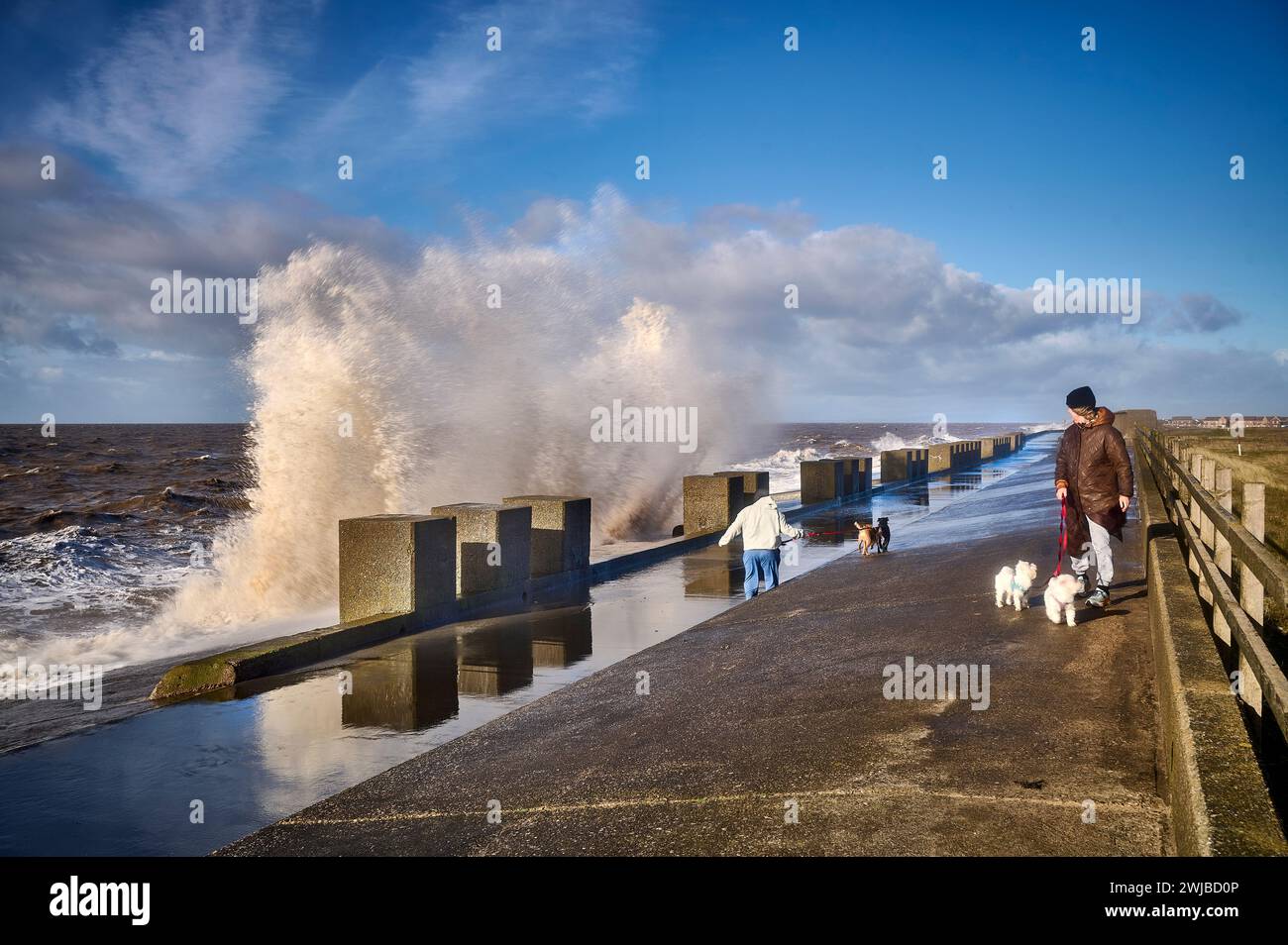 Dog walkers dodging waves during winter storm on Rossall Promenade,Fleetwood,Lancashire,UK Stock Photo