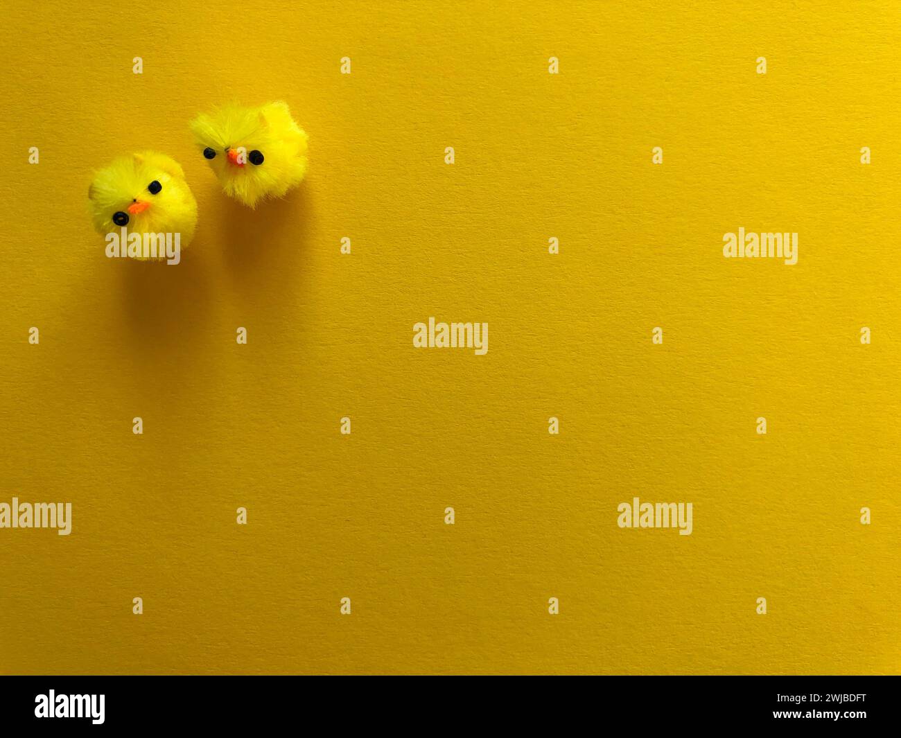 Fluffy yellow Easter chicks isolated on a yellow background with copy space Stock Photo