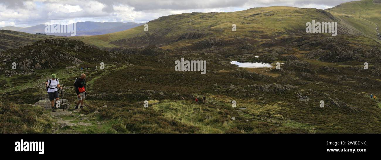 Carin hi-res stock photography and images - Page 3 - Alamy