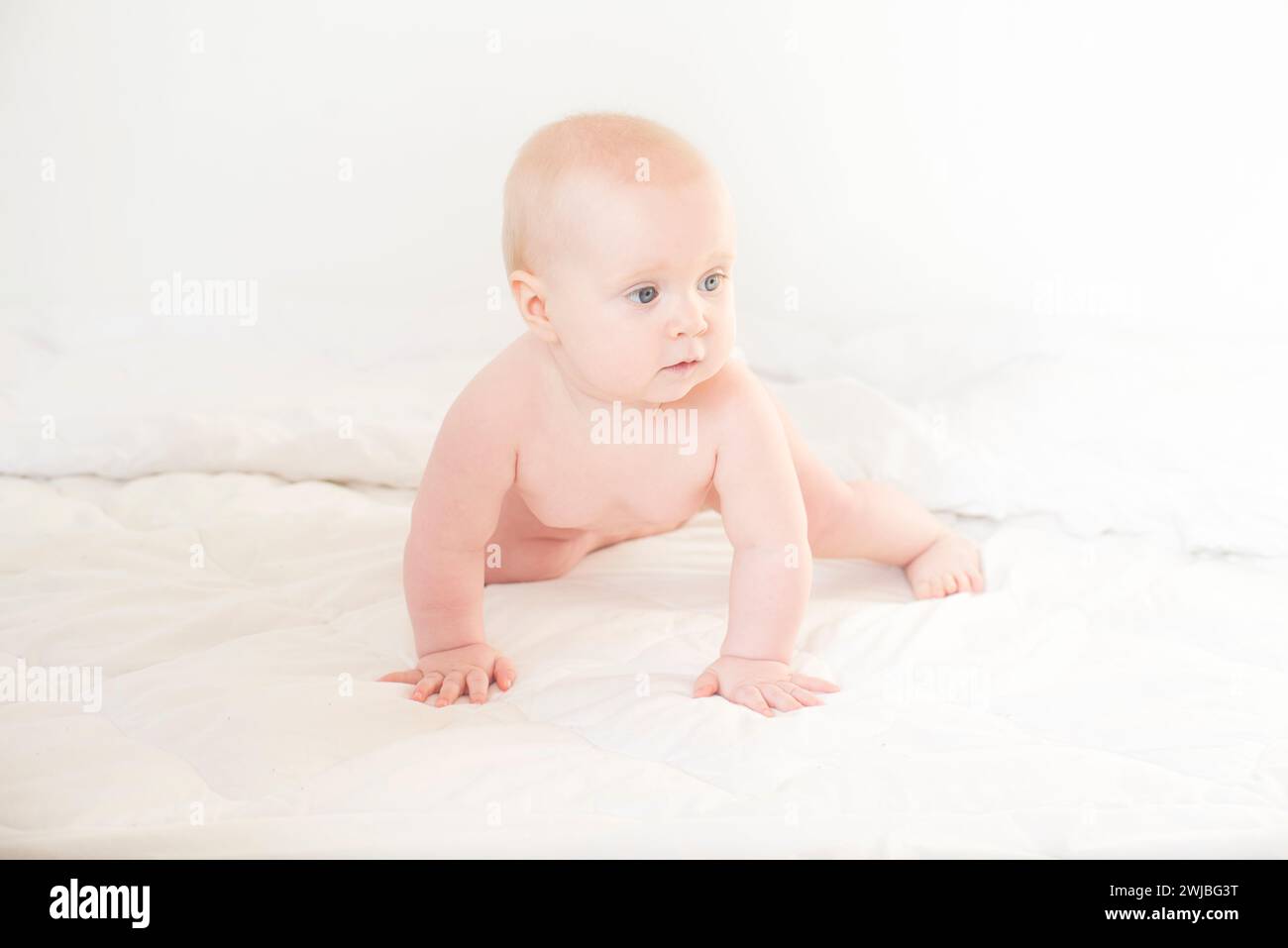 portrait of a cute baby Stock Photo - Alamy