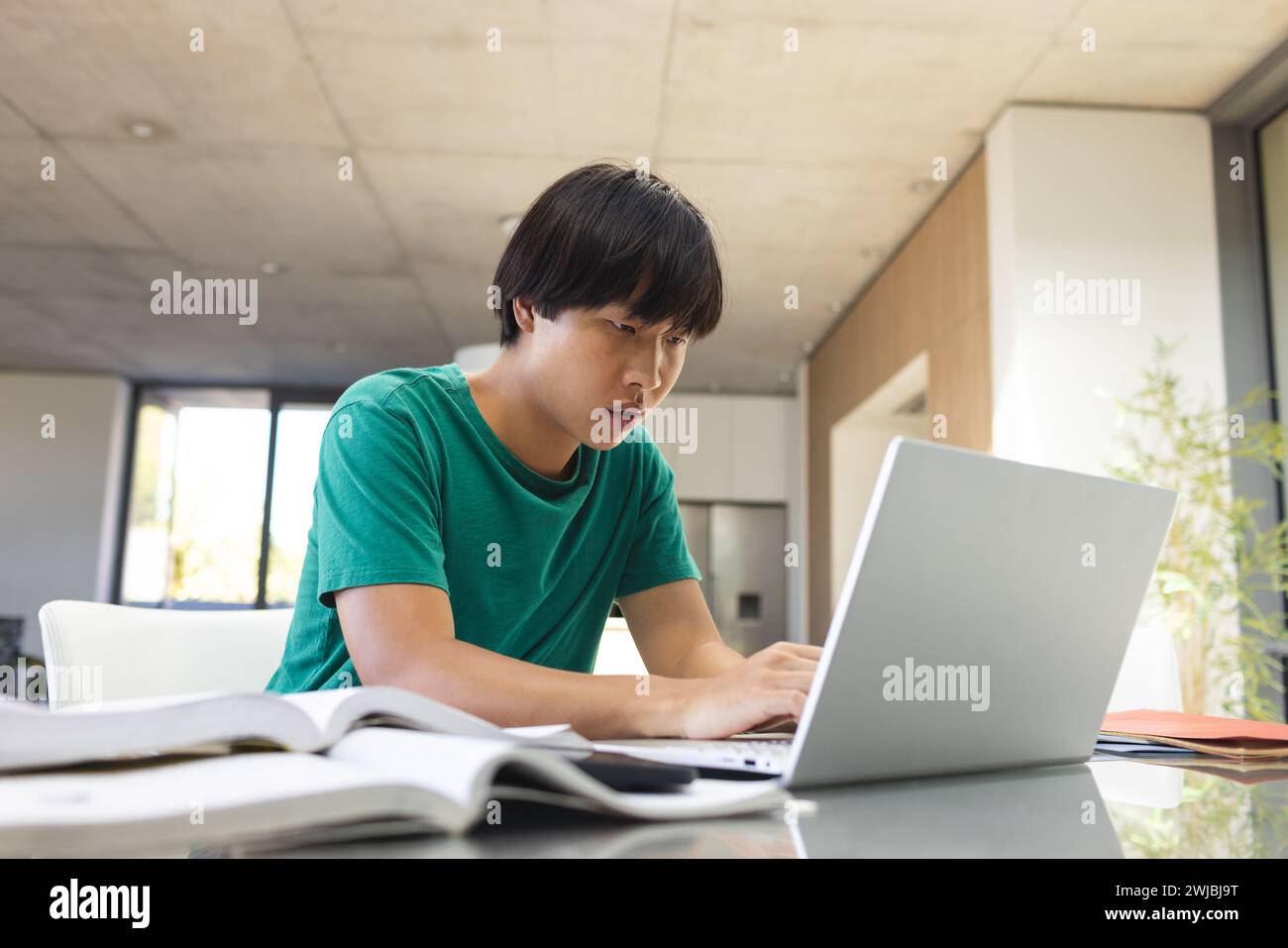 Teenage Asian boy studying intently at a laptop in a home setting Stock ...
