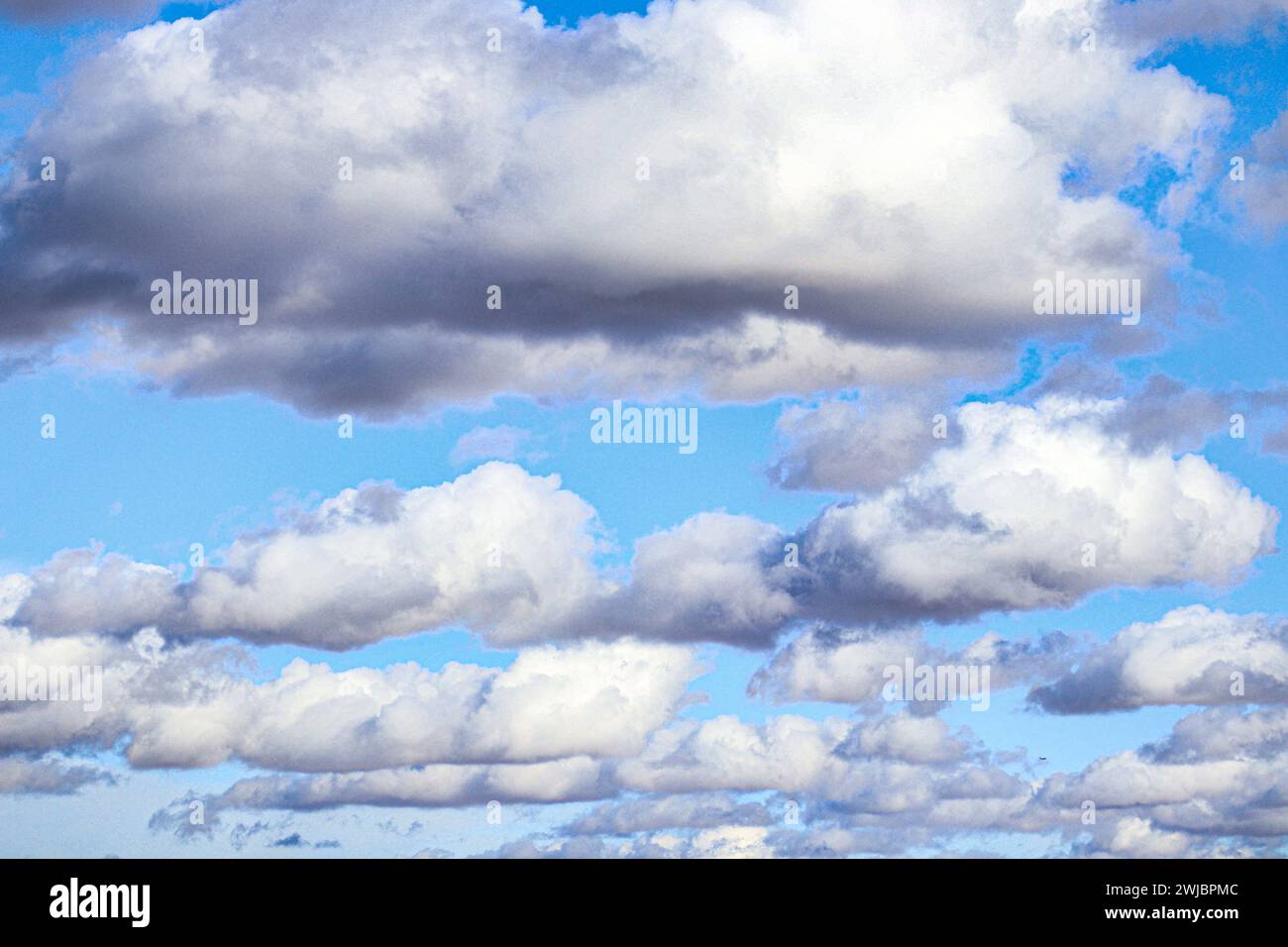 Herd of sheep grazing in an open field against cloudy sky Stock Photo