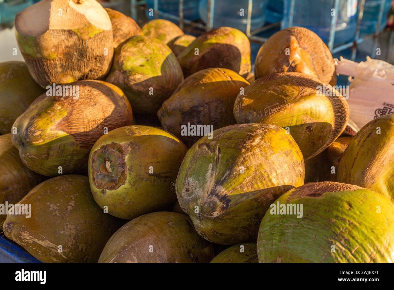 Green coconuts for sale for coconut milk at a stand on the street in