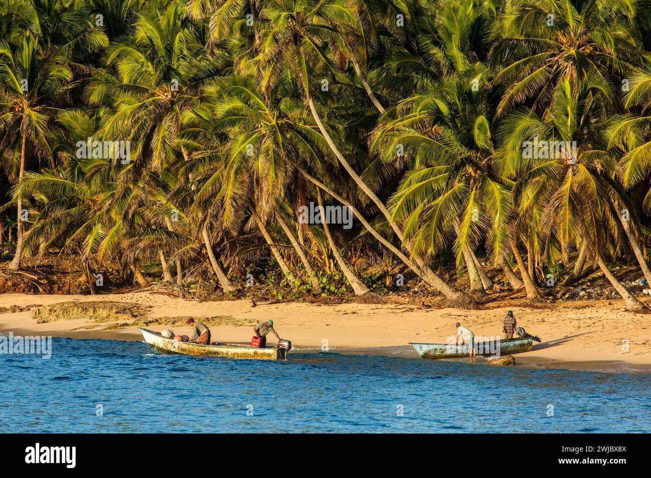 Four fishermen prepare to launch their boats in the early morning in the Bay of Samana, near Samana, Dominican Republic.  Palm trees line the shore. Stock Photo