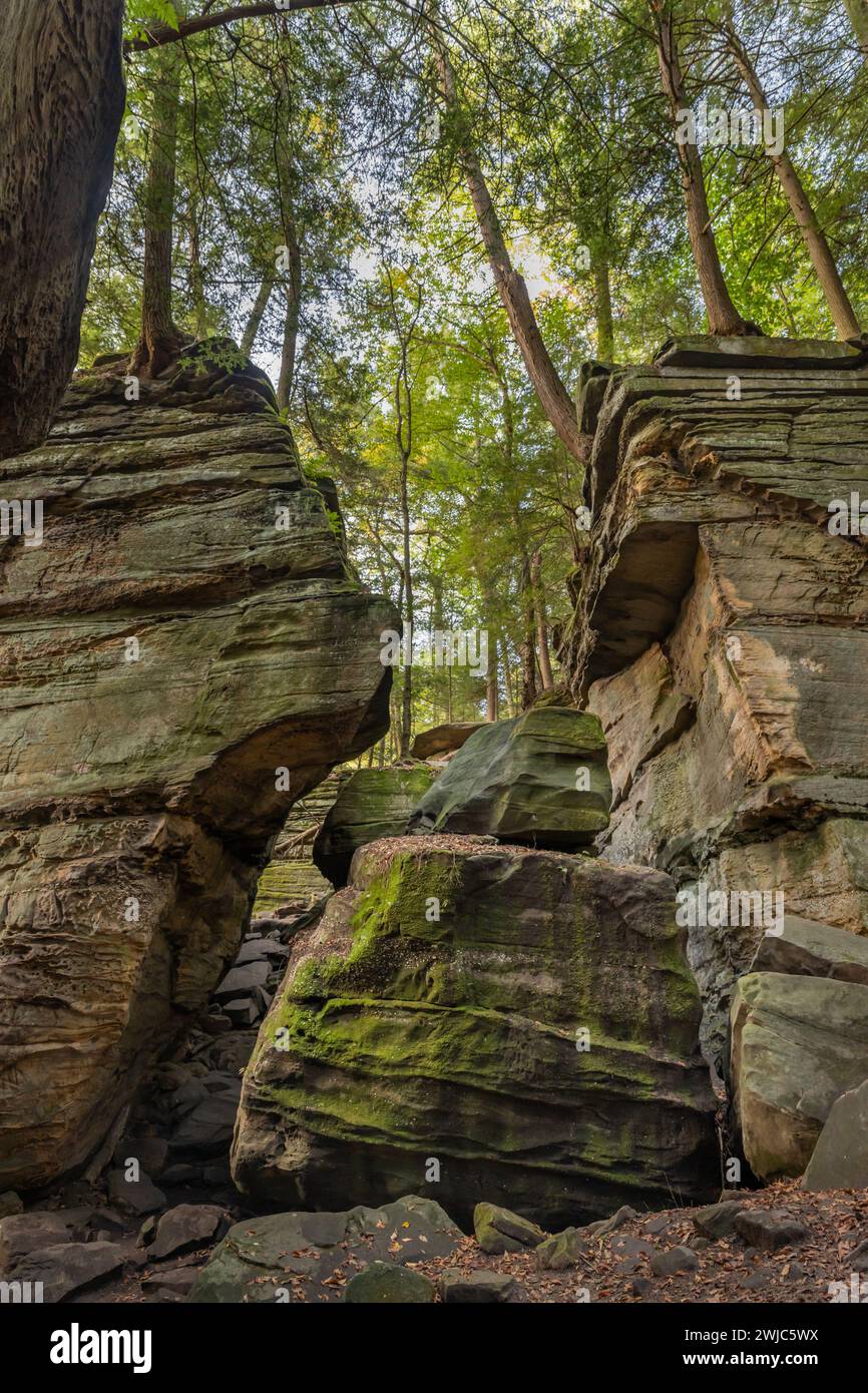 Alcove Ledges Trail Cuyahoga - Alcove Ledges Trail Cuyahoga Valley National Park Ohio 2WJC5WX 