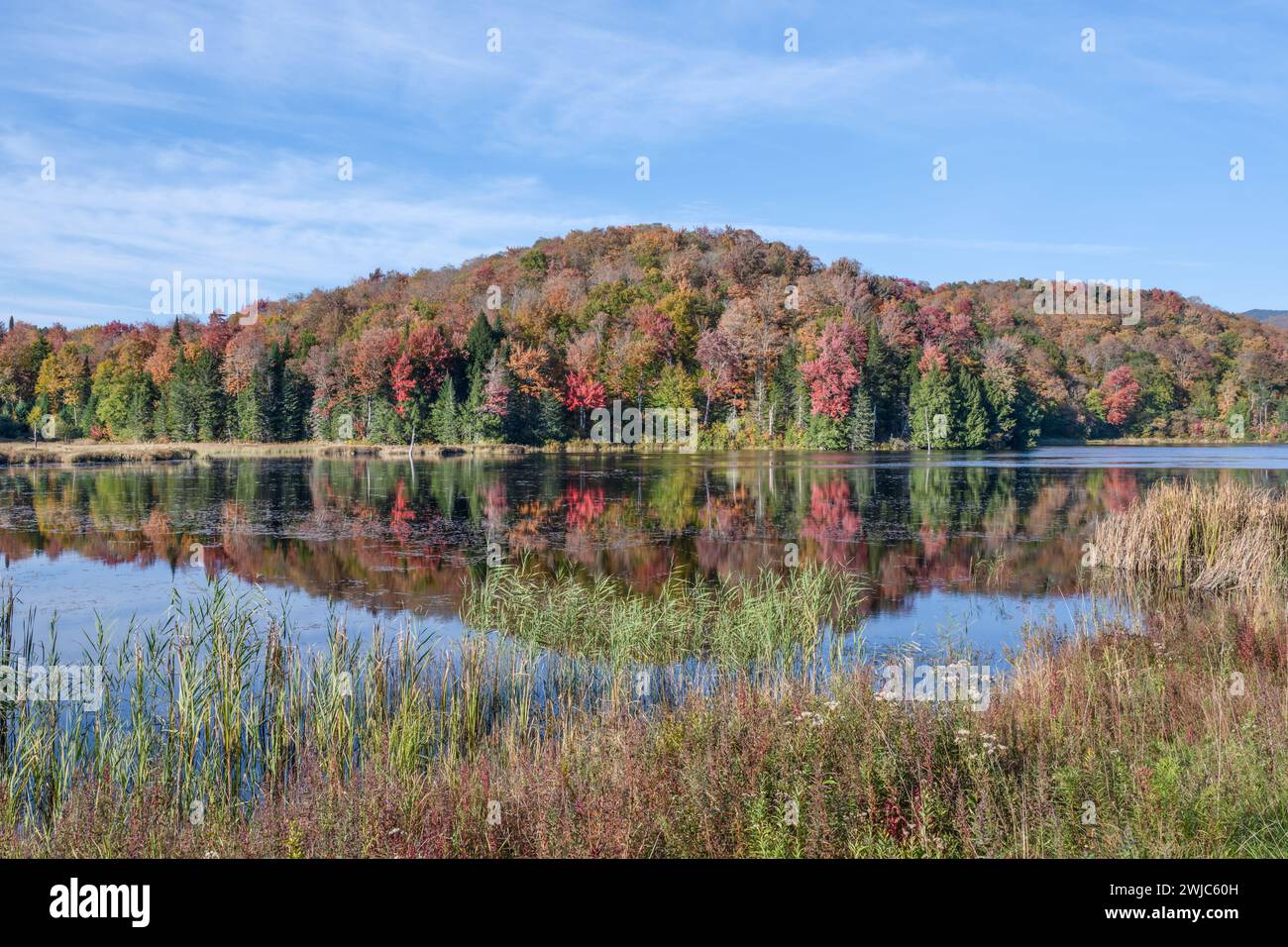 Autumn Reflection, Vermont Stock Photo