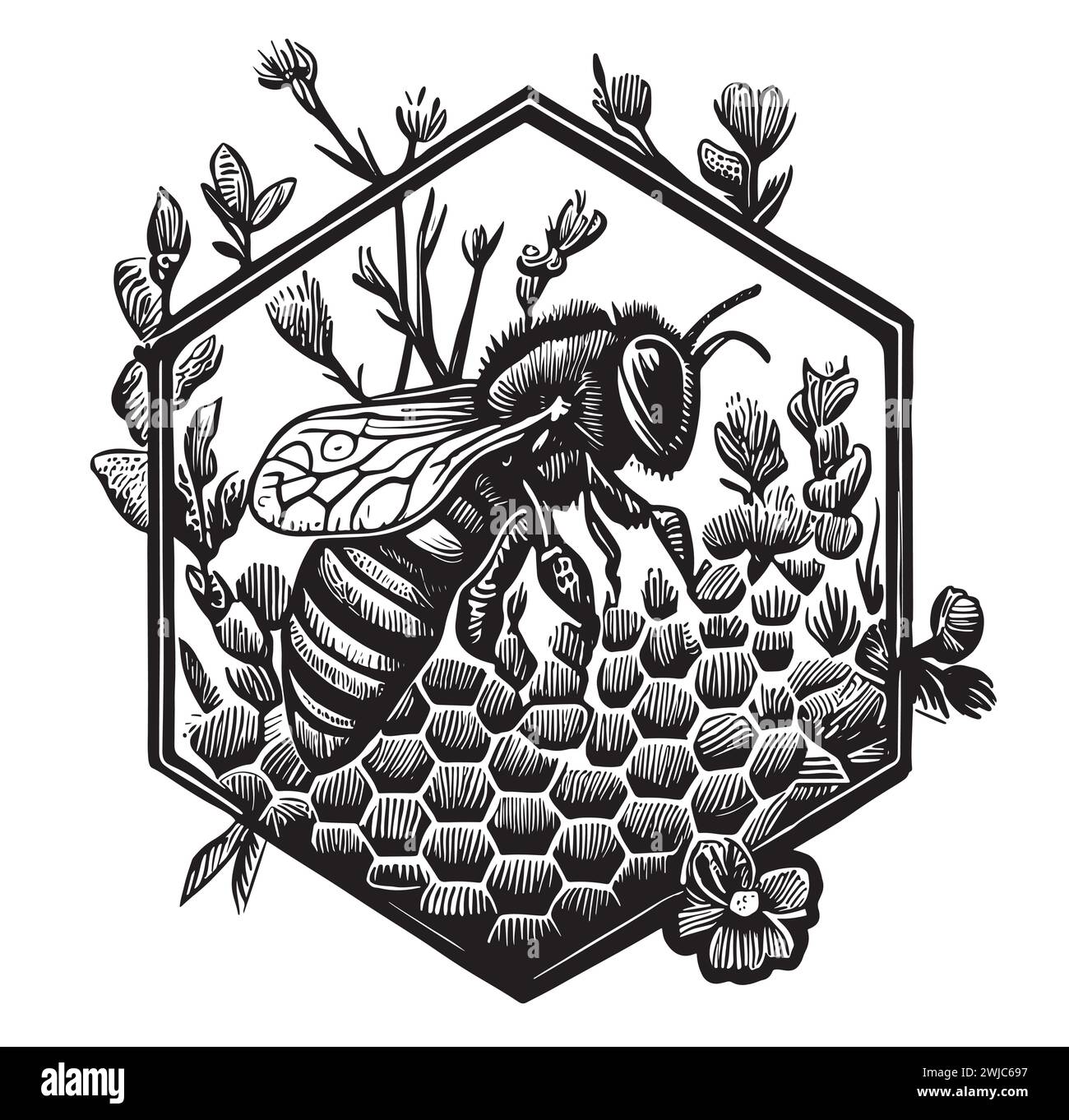 Honey bee vintage vector drawing. Hand drawn isolated insect sketch. Engraving style illustrations. Great for logo, icon, label, packaging design. Stock Vector