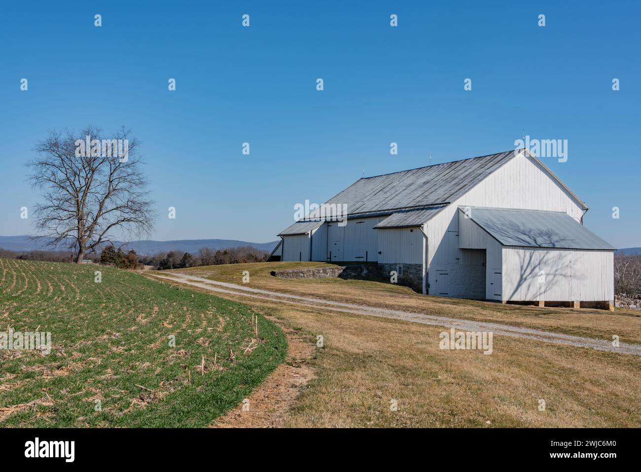 Winger afternoon hires stock photography and images Alamy