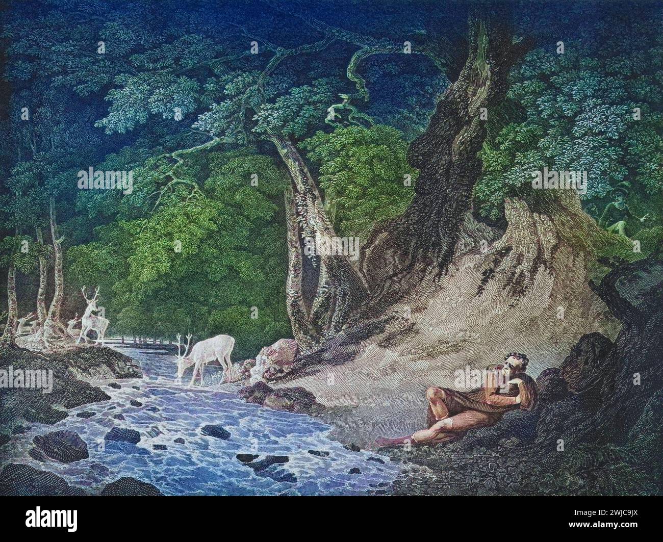 Forest Of Arden Illustration Hi res Stock Photography And Images Alamy forest-of-arden-illustration-hi-res-stock-photography-and-images-alamy
