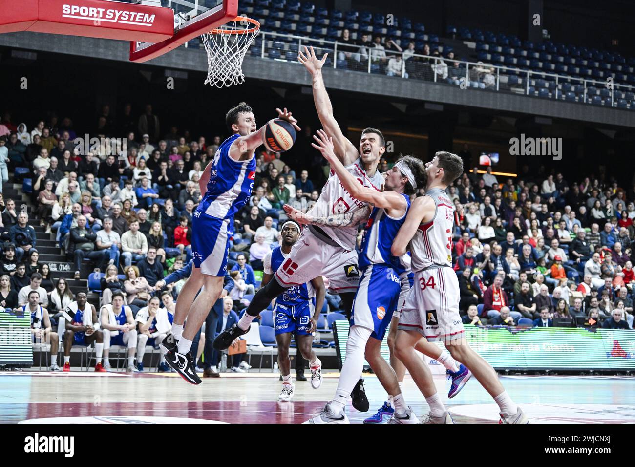 Antwerp, Belgium. 14th Feb, 2024. Antwerp's Nikola Jovanovic and