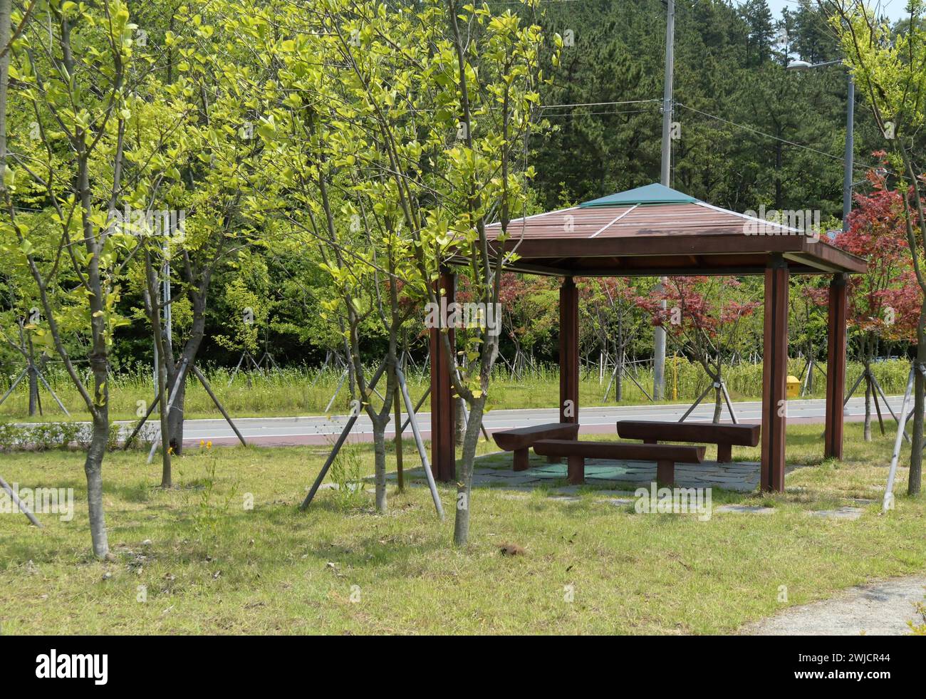 A gazebo with a picnic table in a park surrounded by young trees under ...