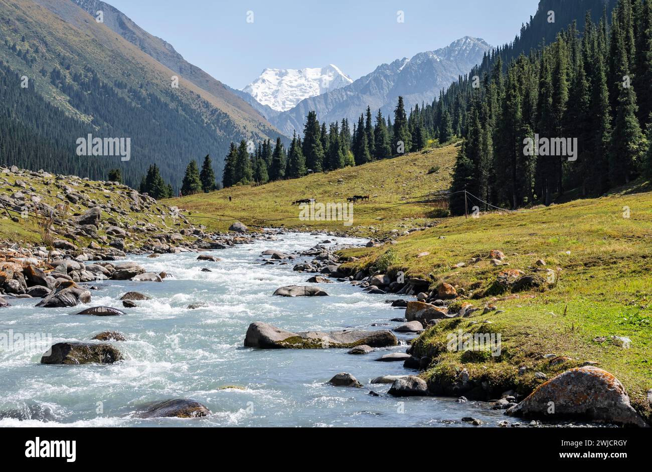Altyn arashan mountain river valley hi-res stock photography and images ...
