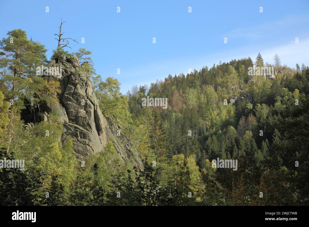 Adlerklippe in Okertal, cliff, rocks, forest, landscape, nature, Harz, Lower Saxony, Germany Stock Photo