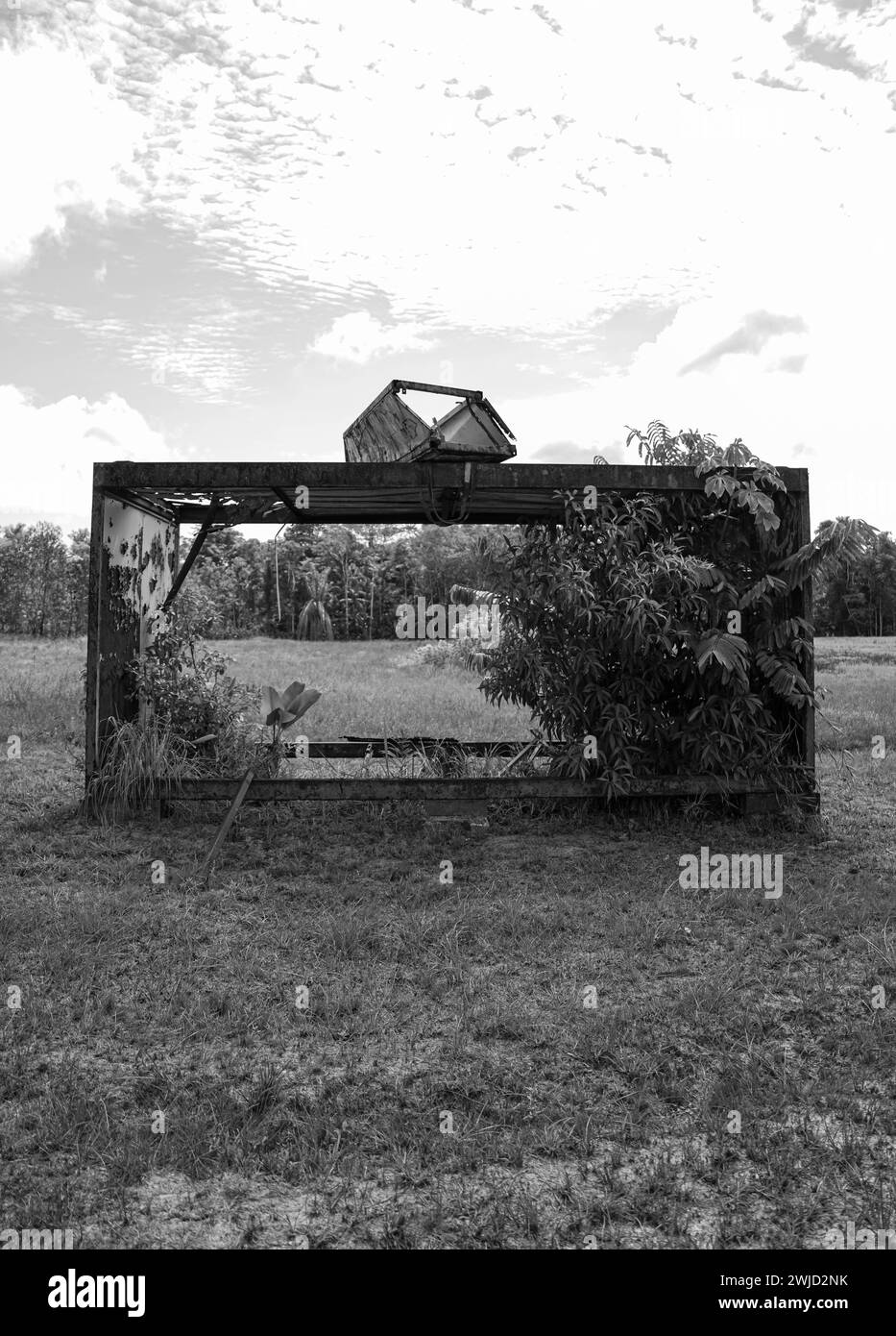 Nature taking back an old container. Stock Photo