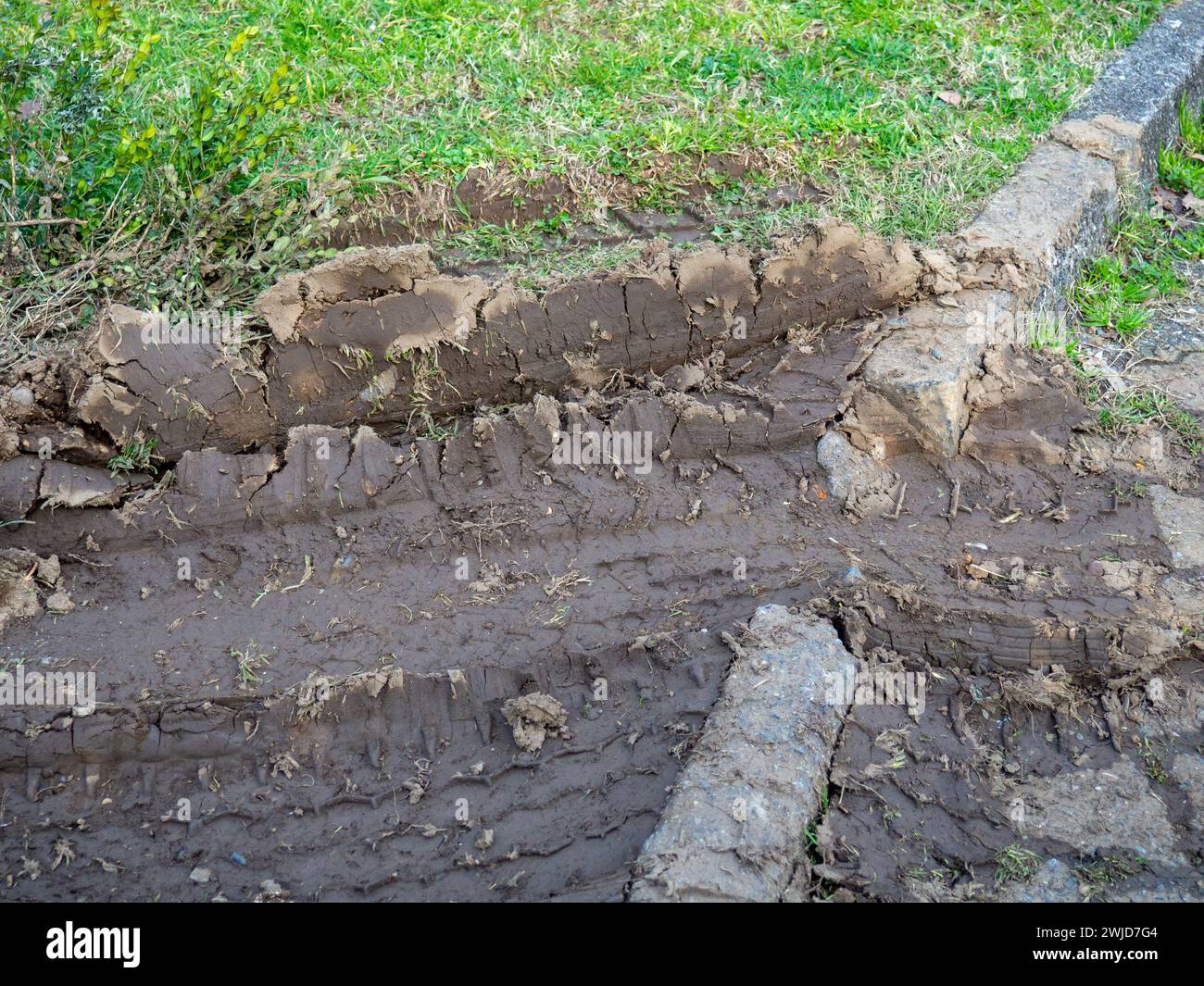 Ruts on the lawn. Destroyed lawn. Tire tracks in the mud. Offset track. the car went off the road. Curb Stock Photo