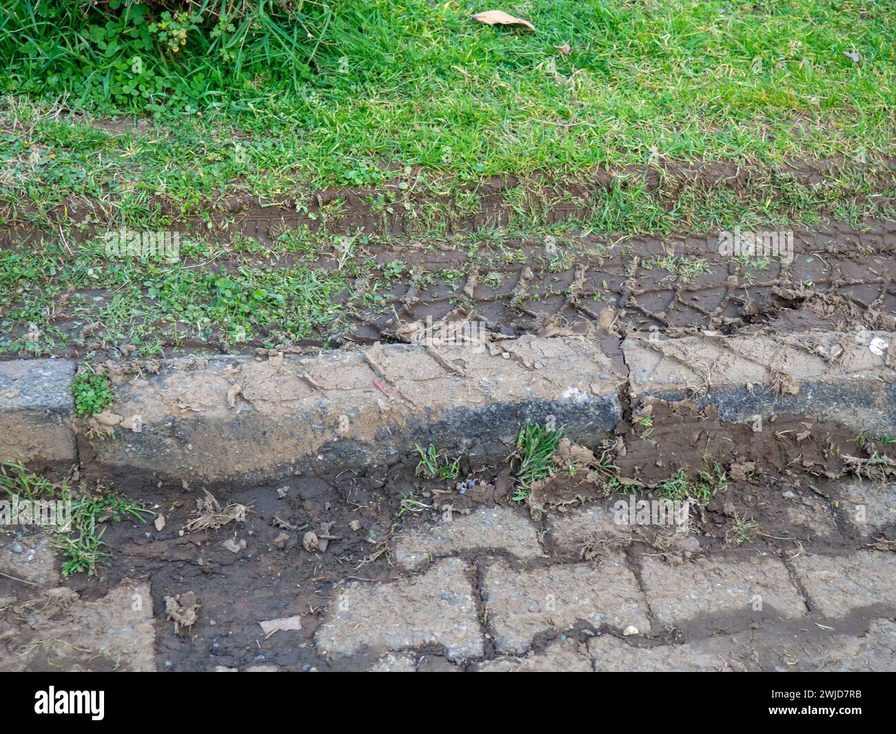 Ruts on the lawn. Destroyed lawn. Tire tracks in the mud. Offset track.  car went off the road.Curb Stock Photo