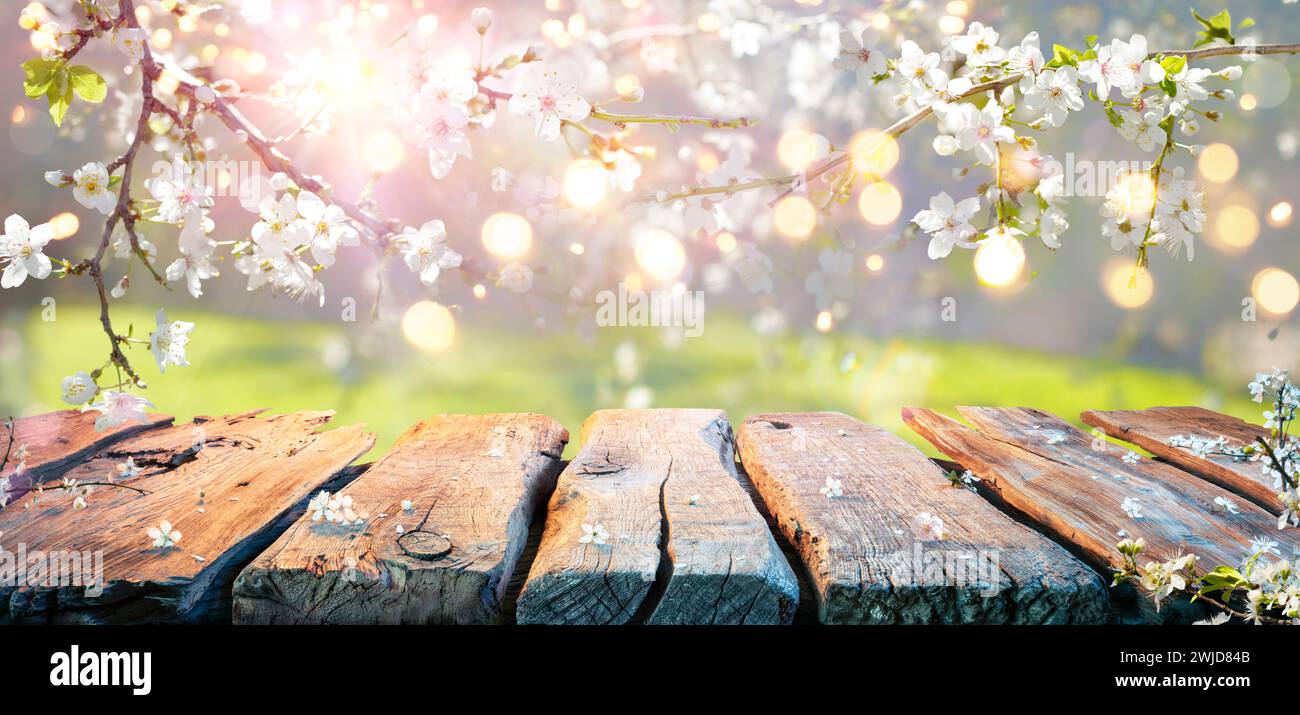 Spring Table - Cherry Flowers On Branches In Abstract Defocused Background With Bokeh Lights Stock Photo