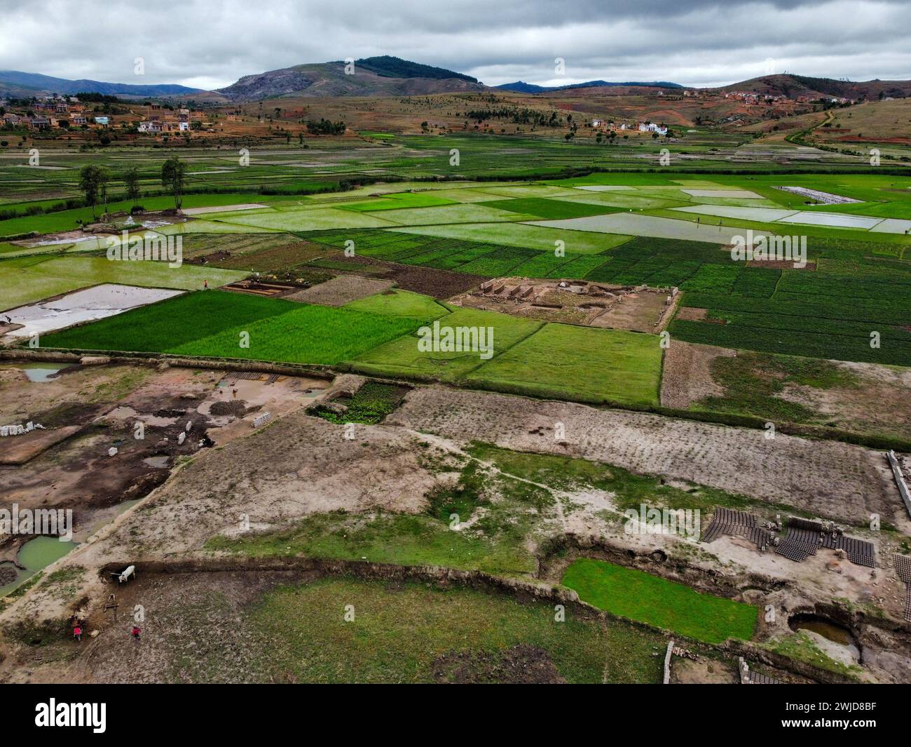 Green paddy fields on Madagascar Stock Photo