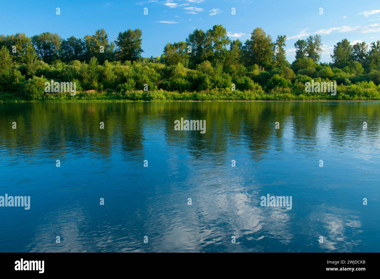 Willamette River, MintoBrown Island Park, Salem, Oregon Stock Photo