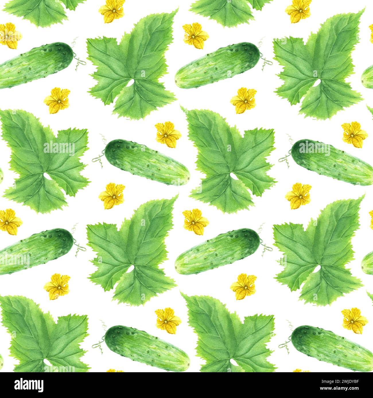 Watercolor seamless pattern with vegetable cucumber with leaf and flowers. Watercolor illustration for fabric textile Stock Photo