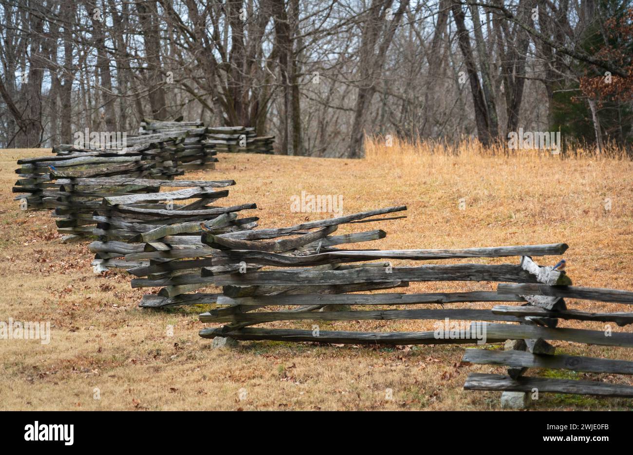 Civil War Fence at Fence at Fort Donelson National Battlefield Stock Photo