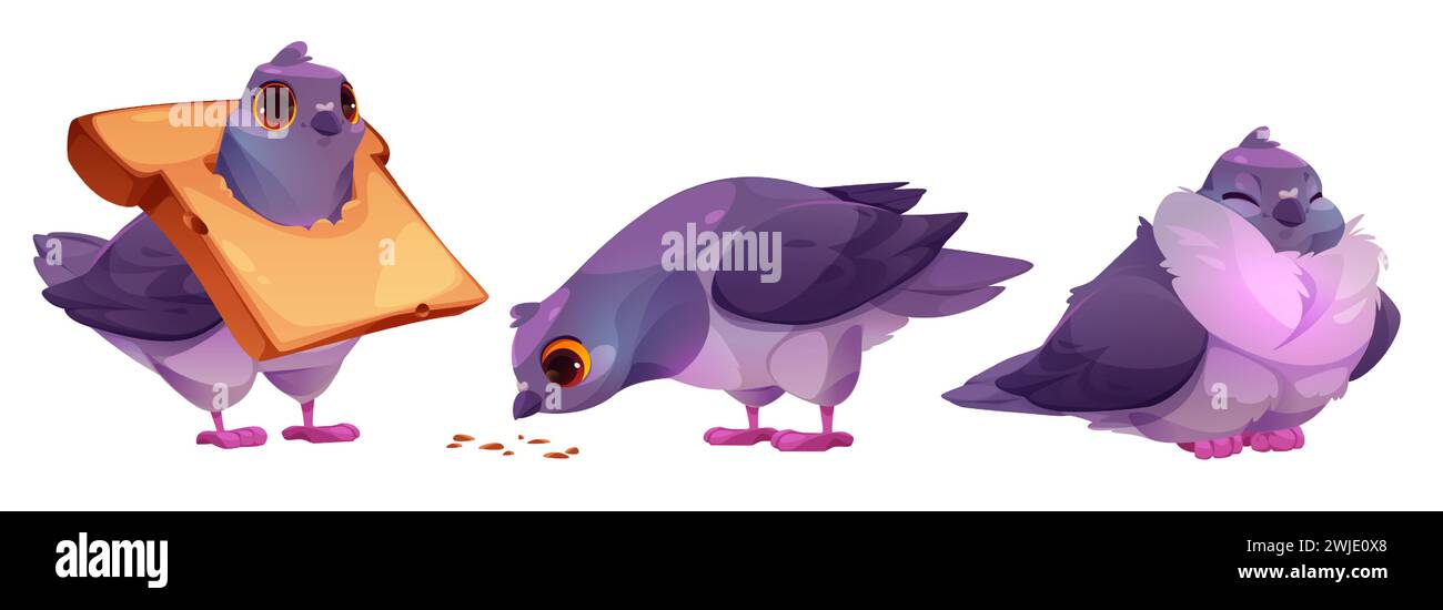 Pigeon bird characters eating set isolated on white background. Vector