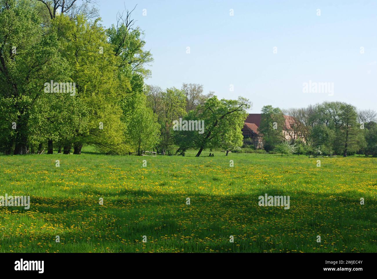 Landschaftspark wiese hires stock photography and images Alamy