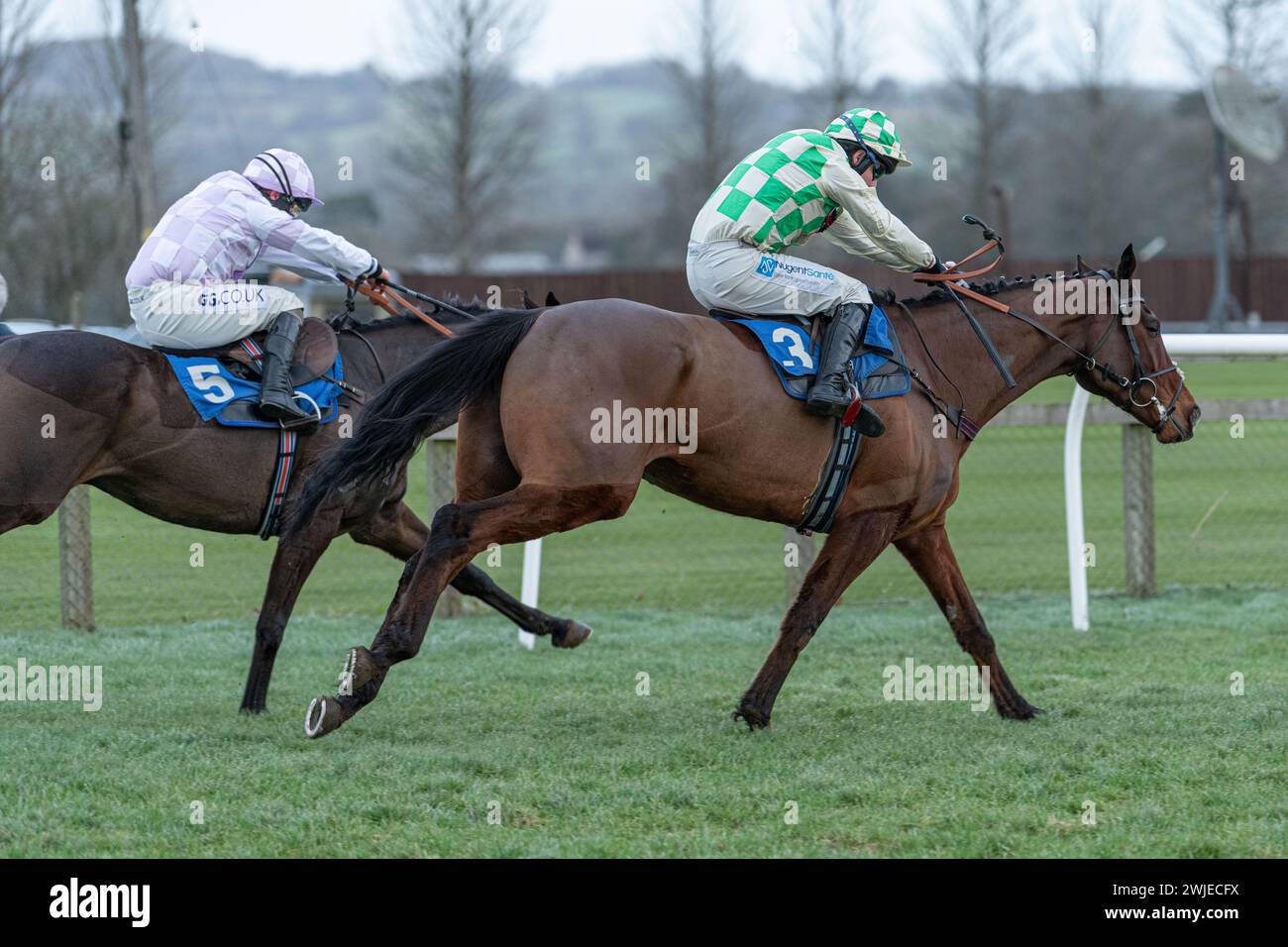 Harry fry racecourse hires stock photography and images Alamy